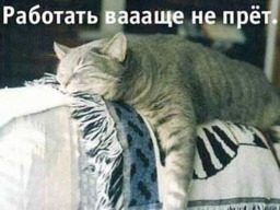 Почему не получается  заставить себя работать?